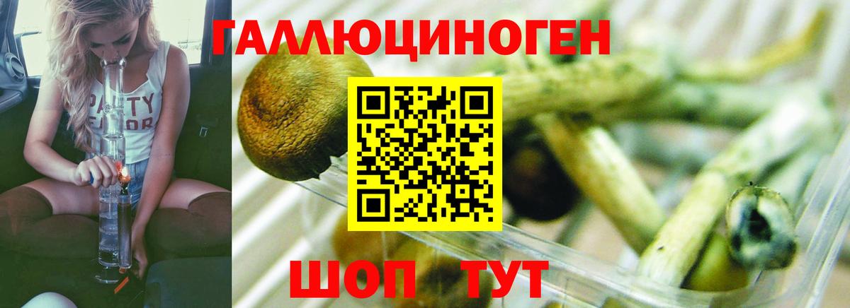 Псилоцибиновые грибы мухоморы Ликино-Дулёво